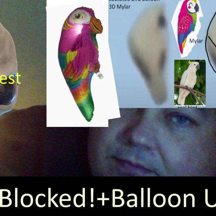 Live Chat with Paul; -181- You're BLOCKED + more UFO vids analysis + Shills promote Parrot Balloons