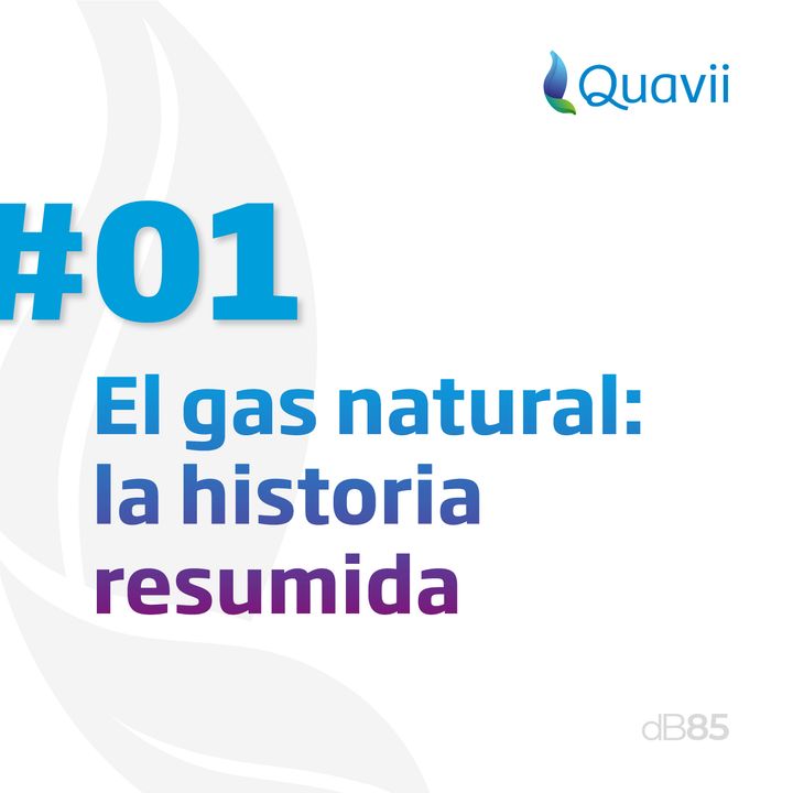 E1. El gas natural: la historia resumida  |  Quavii