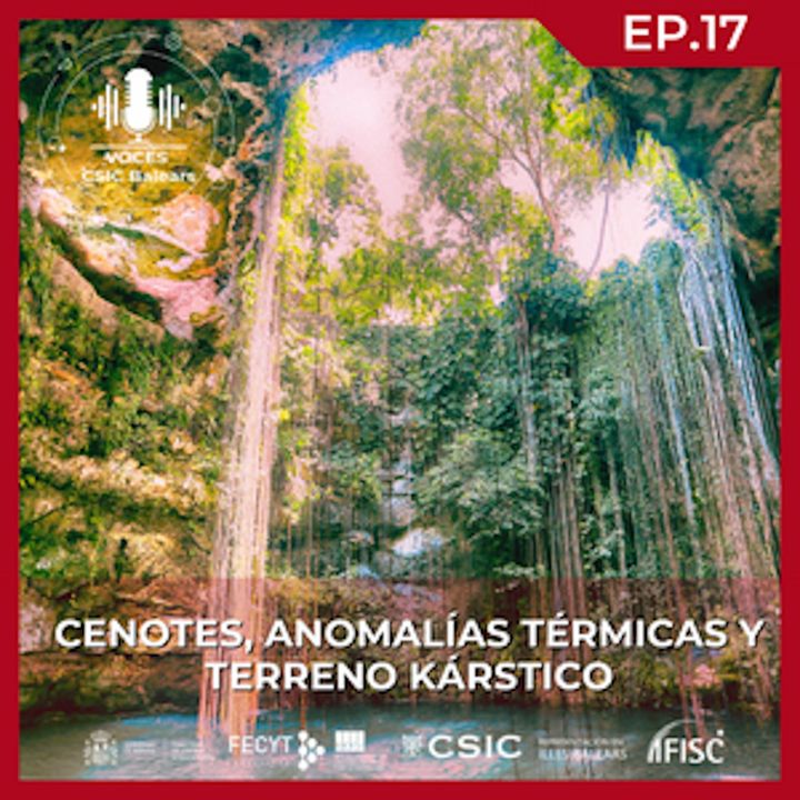 Cenotes, anomalías térmicas y terreno kárstico #17