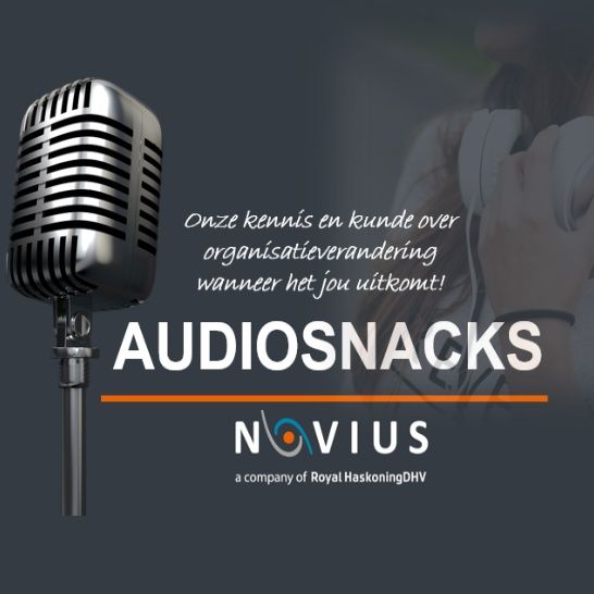 Audiosnacks S1E2 - (rand)voorwaarden voor succesvol verandermanagement
