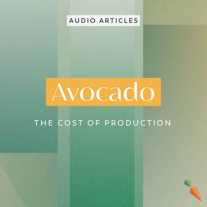 Avocado: The Cost of Production | FoodUnfolded AudioArticle