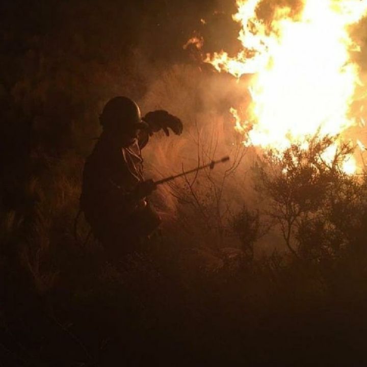 Incendios Forestales En Cordoba