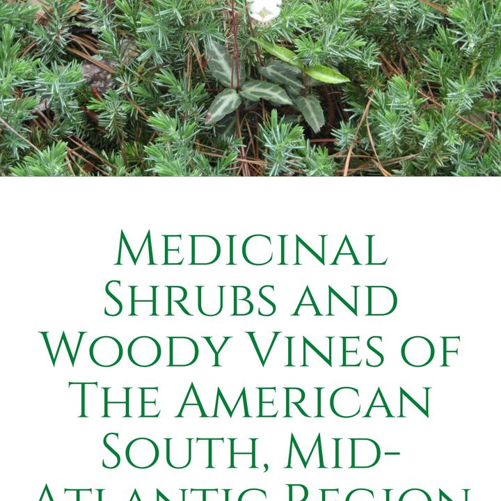 Show 85: Medicinal Shrubs and Vines, My New Book!