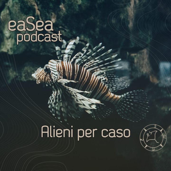 ep 5 Alieni per caso