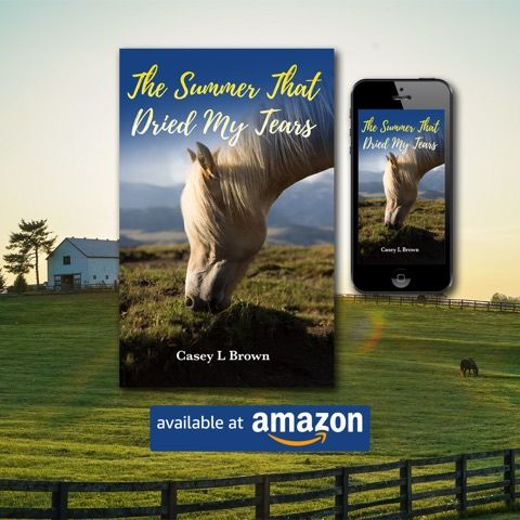 Guest Author (Casey Brown) Book Top-seller (The Summer That Dries My Tears)