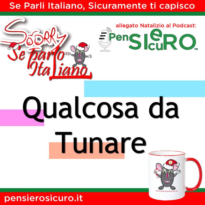 Sorry Se Parlo Italiano #03 - Qualcosa da Tunare