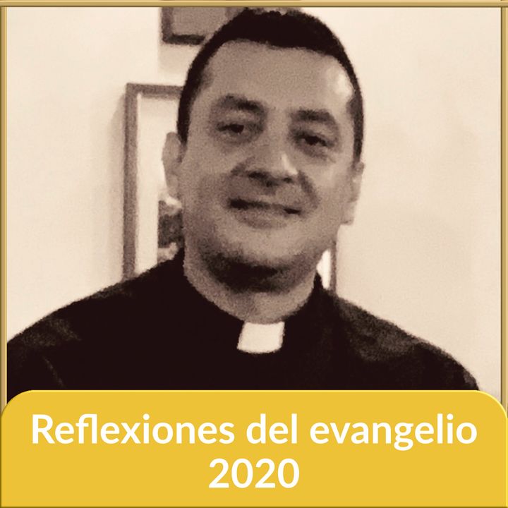 Reflexiones diarias del Evangelio 2020