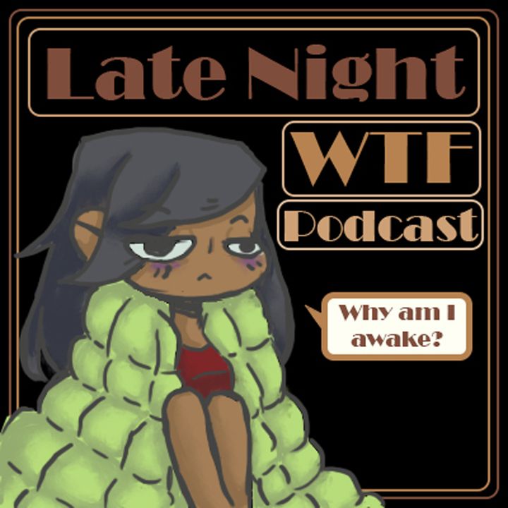 Late Night WTF podcast