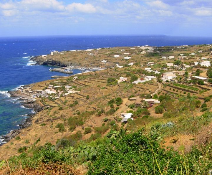 Da Pantelleria parte la sfida di un'agricoltura senza chimica