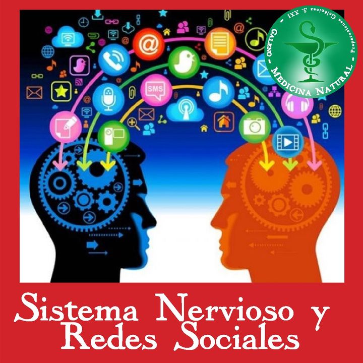 Sistema Nervioso y Redes Sociales