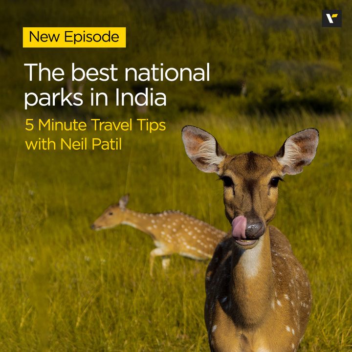 The best national parks in India