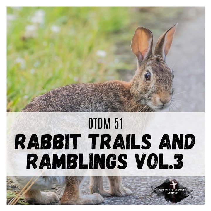 OTDM51 Rabbit Trails and Ramblings vol. 3