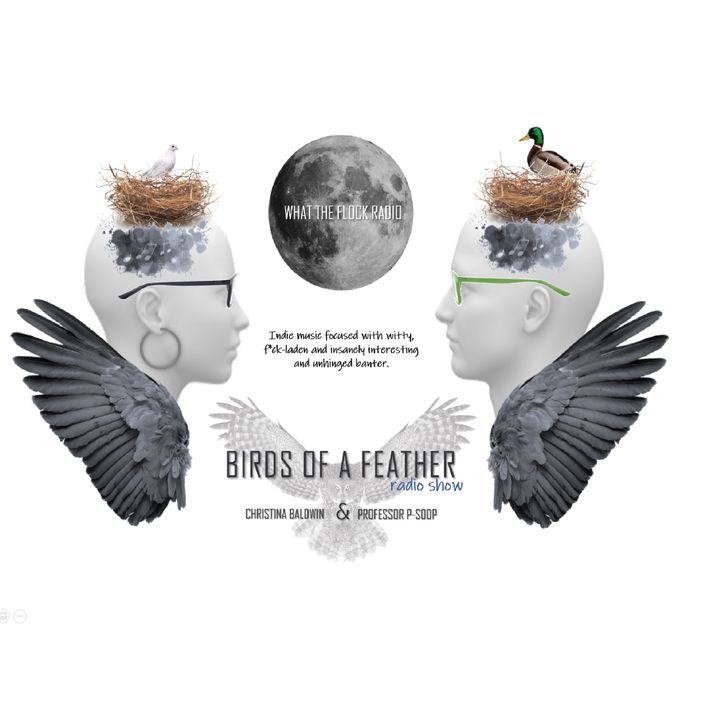 Birds Of A Feather EP 32: Free Bird - Punk Rock