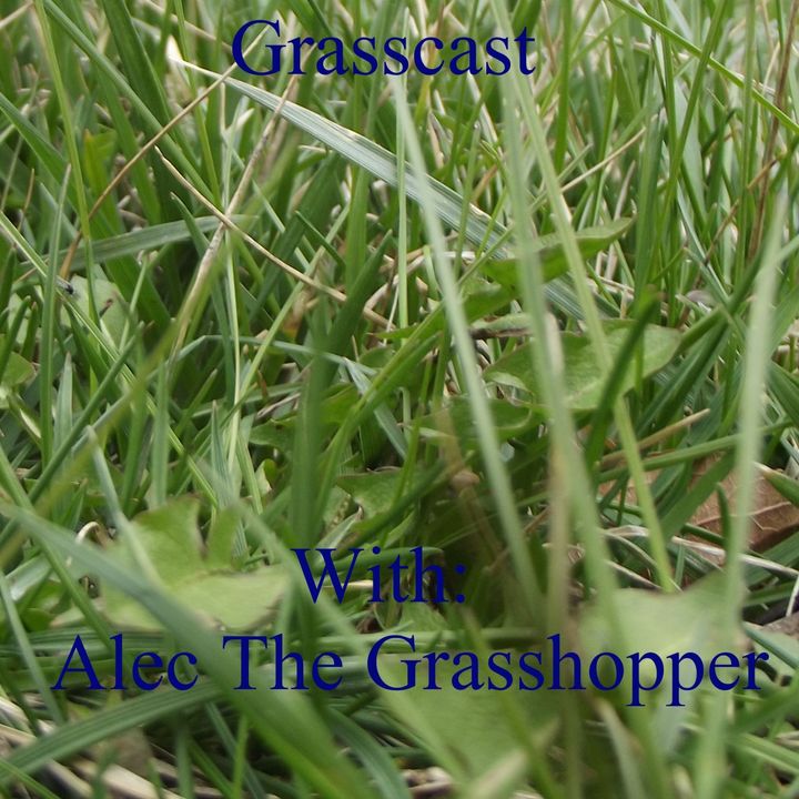 Grasscast: Should we spank our children