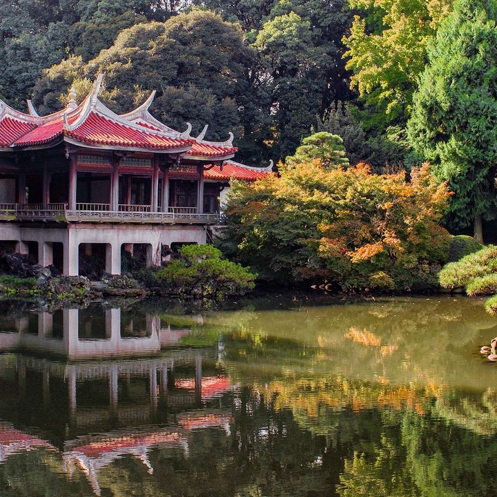 Giappone ....un viaggio tra bellezza e sacralità dei templi