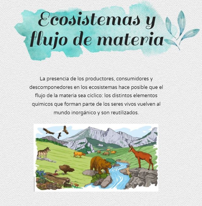 Ecosistemas y flujo de la materia