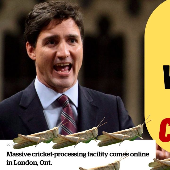 Does Trudeau Want You To Eat Crickets?