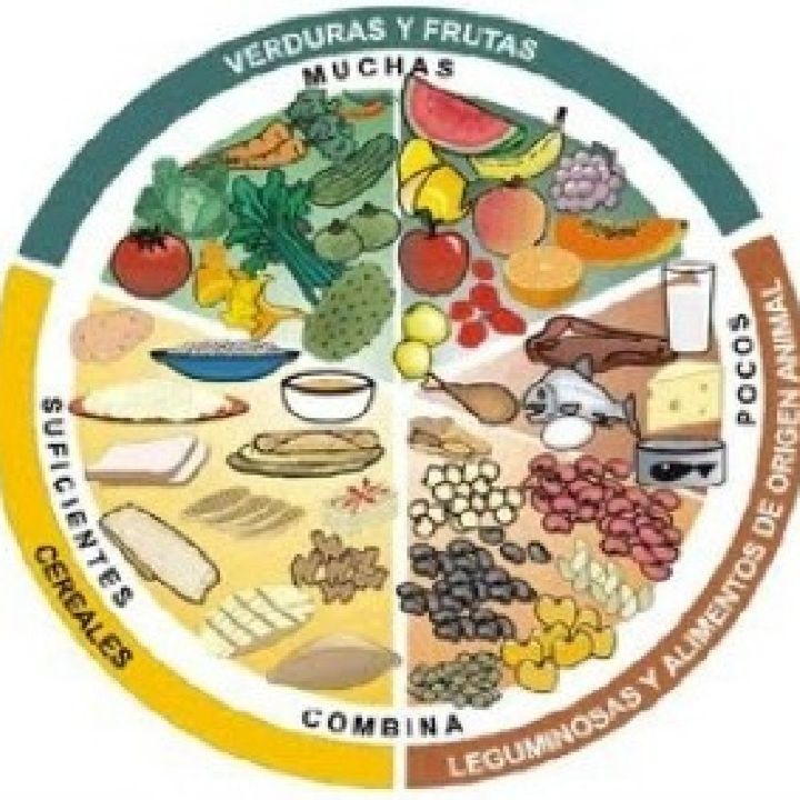 Nutrición y su relación con la salud