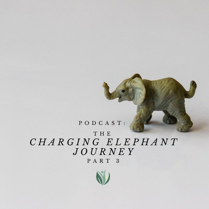 Embrace Your Charging Elephant, Holiday Health Journey, Part 2