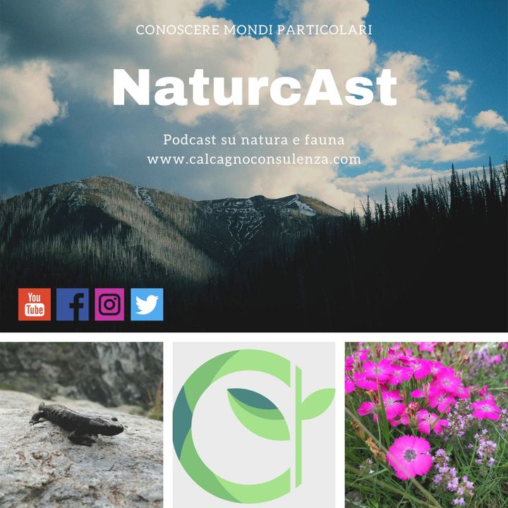 NaturcAst