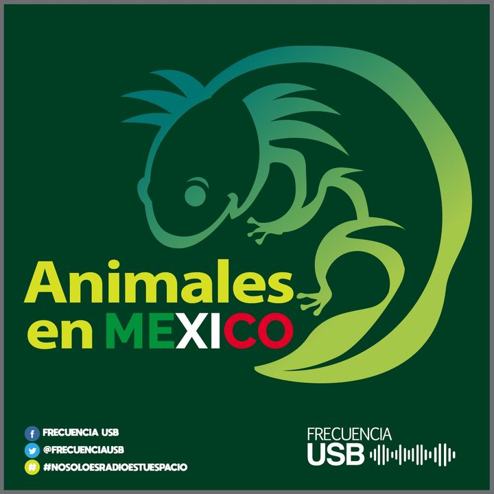 Animales en México