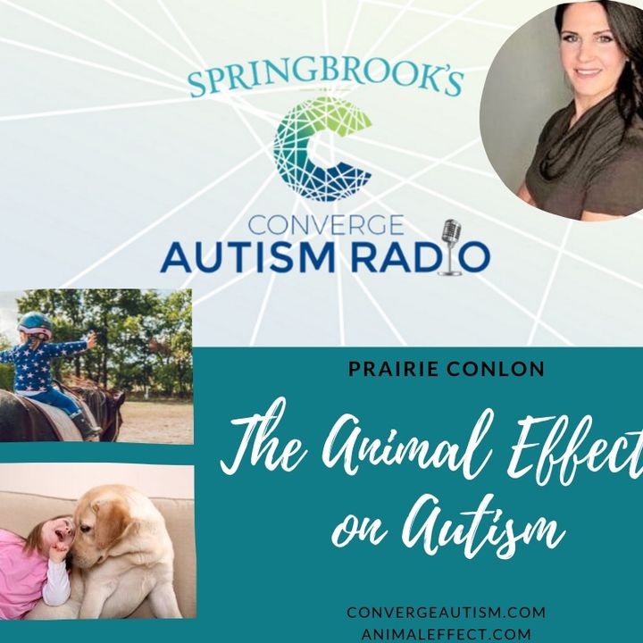 The Animal Effect On Autism