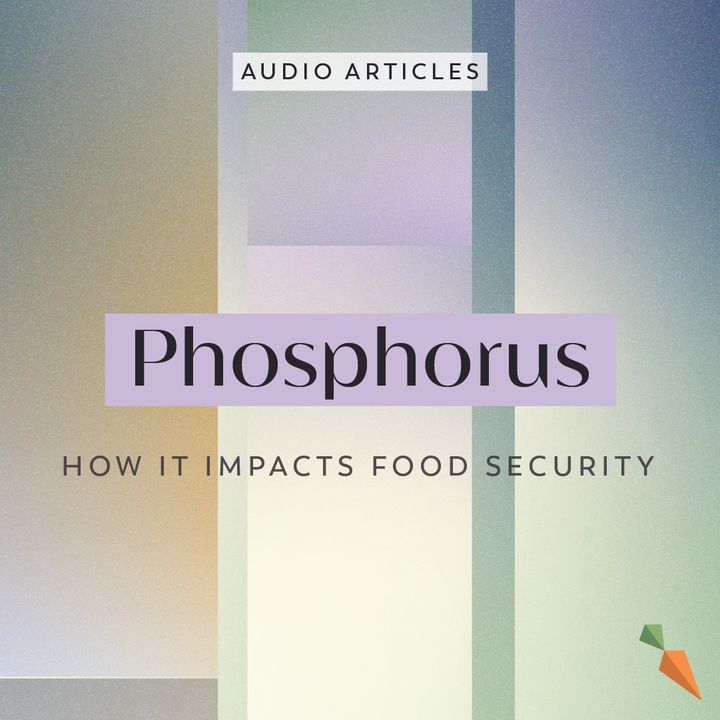 Phosphorus: How It Impacts Food Security | FoodUnfolded AudioArticle