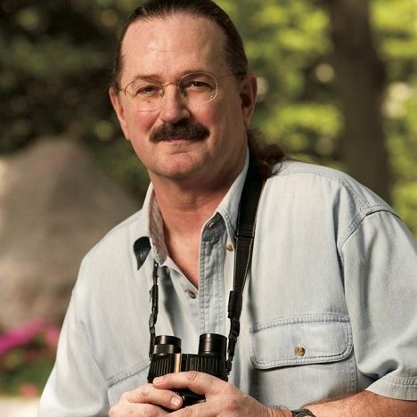 National Geographic Birding Expert, Artist & Author Jonathan Alderfer on Big Blend Radio