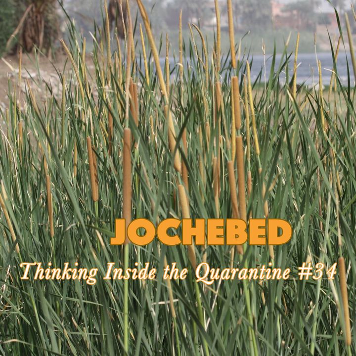Jochebed (Thinking Inside the Quarantine #34)