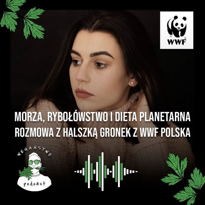 Morza, rybołówstwo i dieta planetarna. Halszka Gronek z WWF Polska - odc. 38