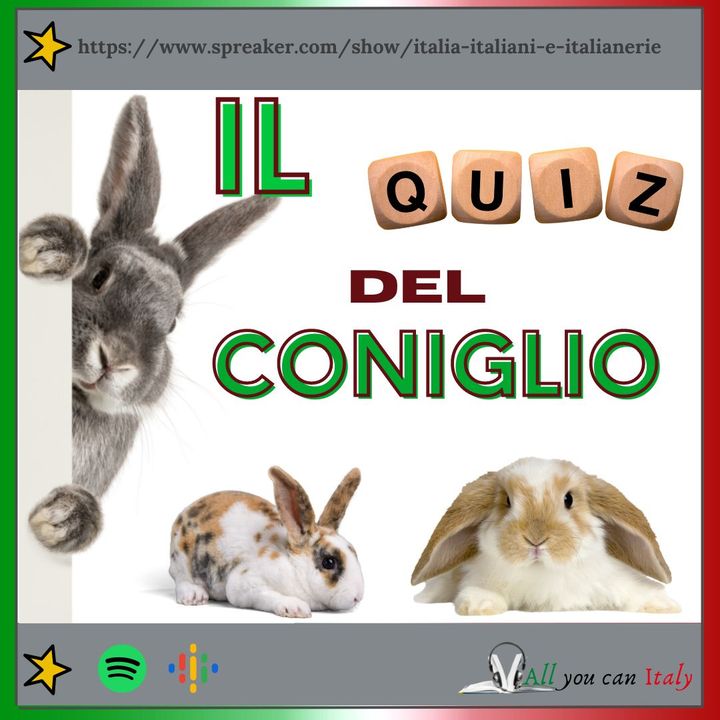 Impara l'italiano con i QUIZ - Il Quiz del coniglio