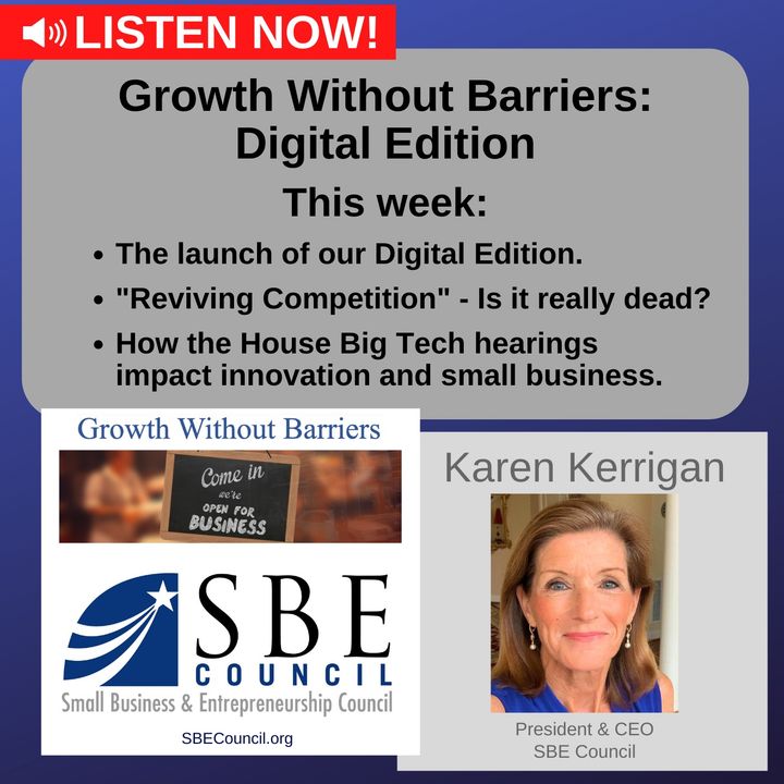 NEW: Growth Without Barriers - DIGITAL EDITION: We discuss the latest Big Tech hearings in Congress.