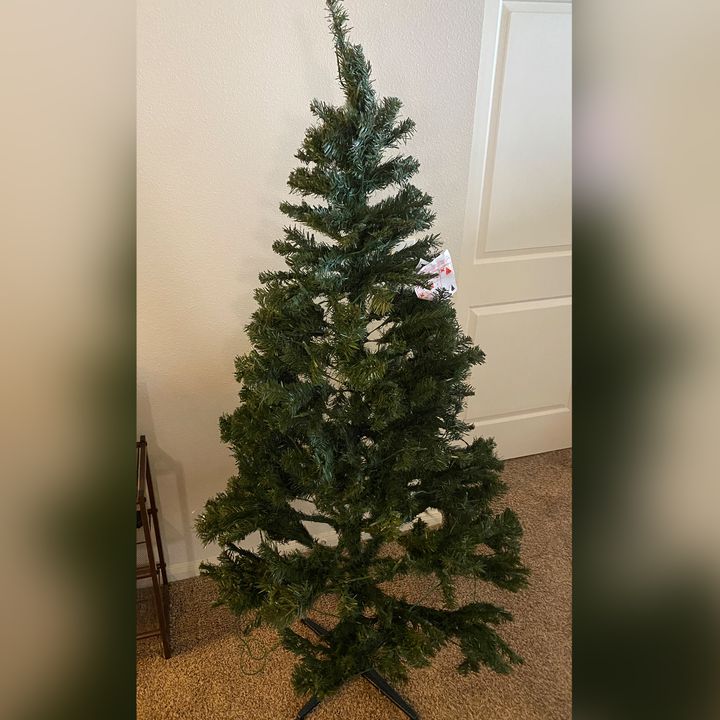 Full Show: A Christmas tree FAIL