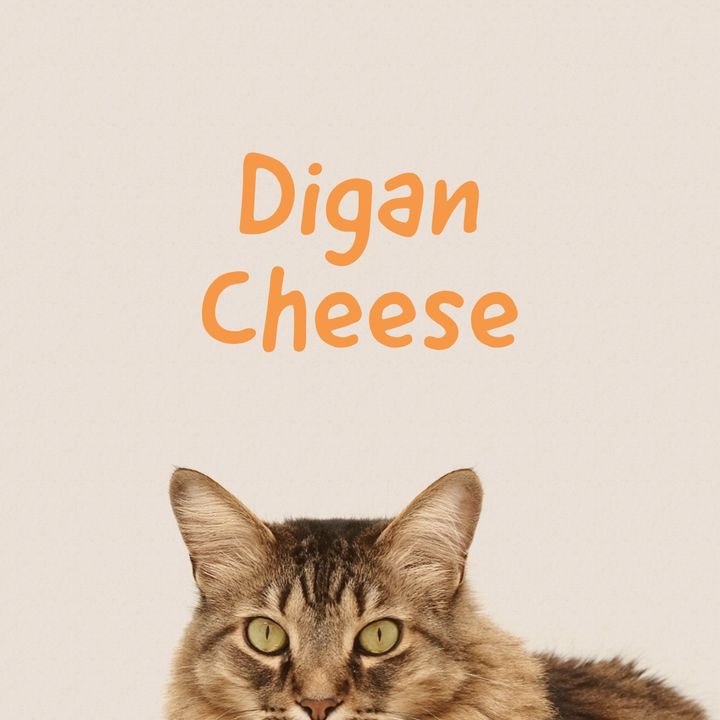 33: Digan Cheese