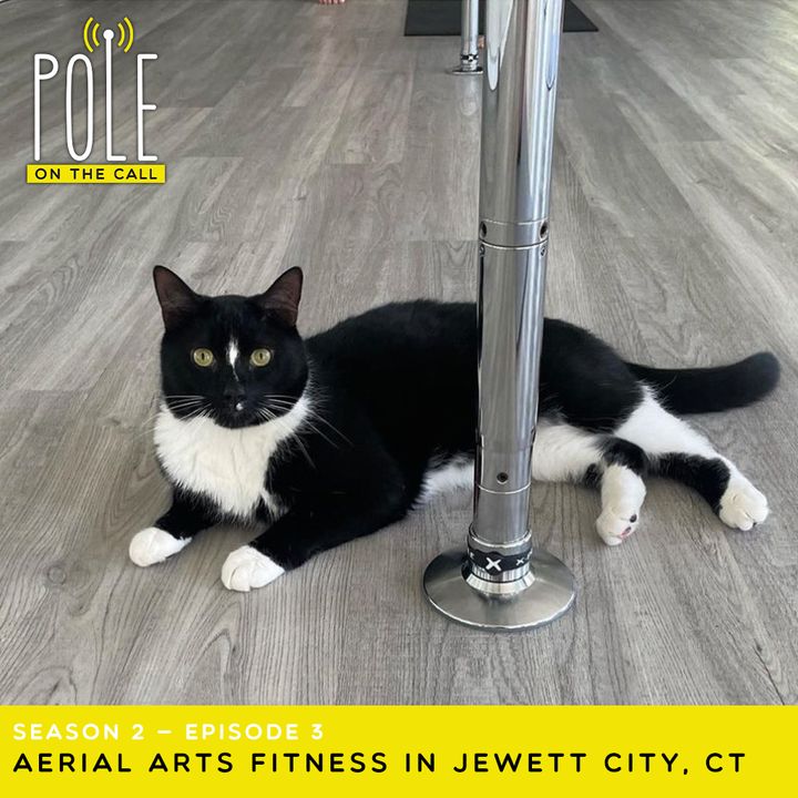 Learn about Aerial Arts Fitness in Jewett City, CT