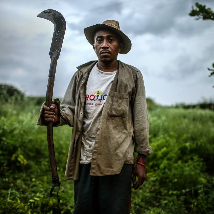 These Brazilian farmworkers escaped slavery, now they're taking back the land