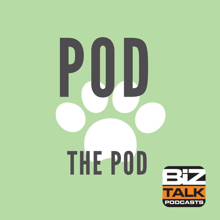 Understanding Our Furry Friends with Colleen Gordon of Healing for Pets