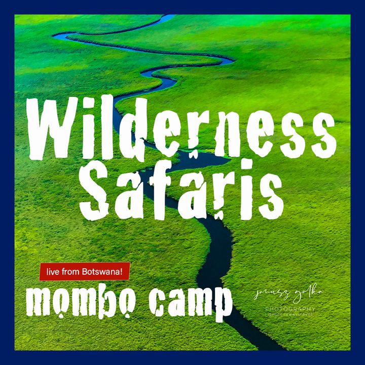 Wilderness Safaris Mombo Camp Live Interview!