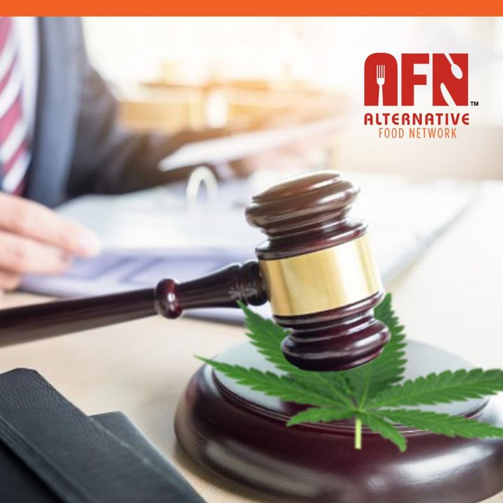 Cannabis Legalization and Edibles