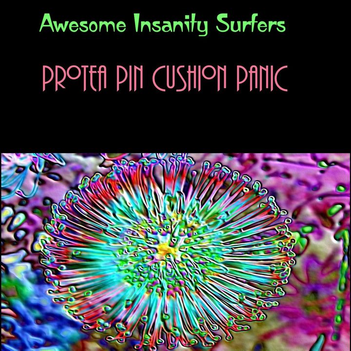 Protea Pin Cushion Panic