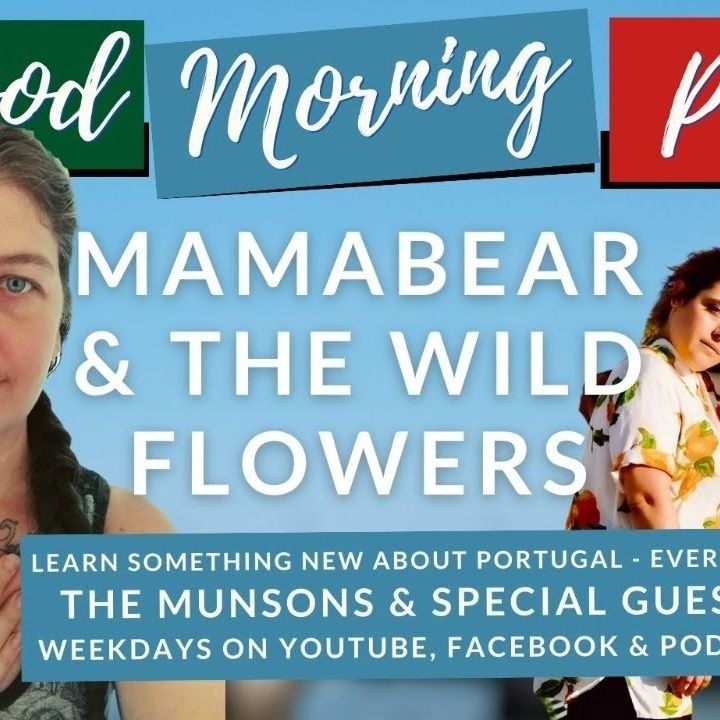 Mamabear and Wild Flowers on The Good Morning Portugal! Show