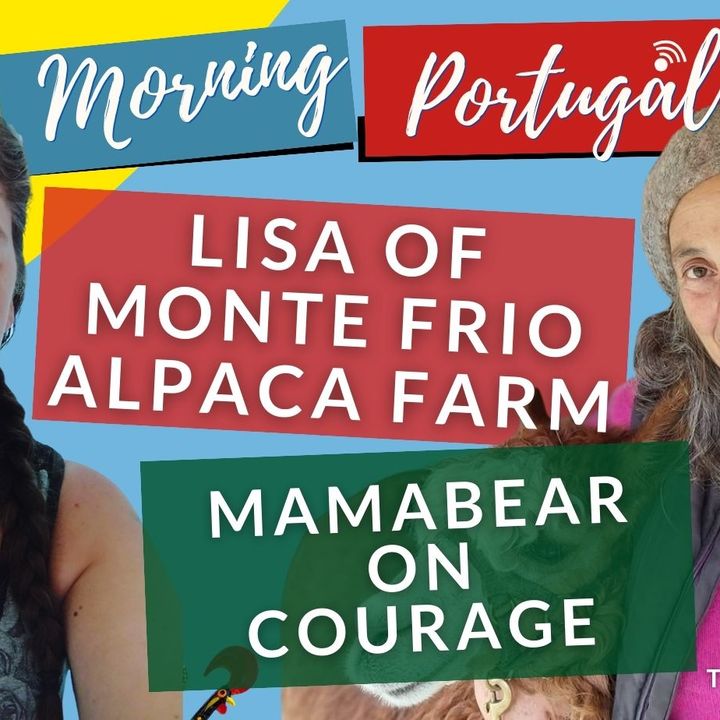 Alpacas and Courage on the Good Morning Portugal! show with Mamabear & Lisa