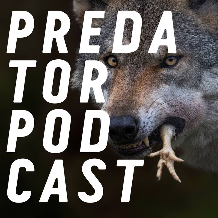Episode 3: Dogs, Wolves and Foxes