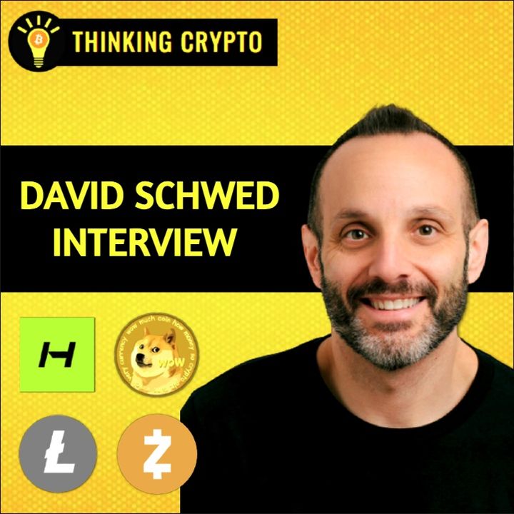 David Schwed Interview - Exposing Security Issues With Dogecoin, Litecoin, Zcash & Crypto