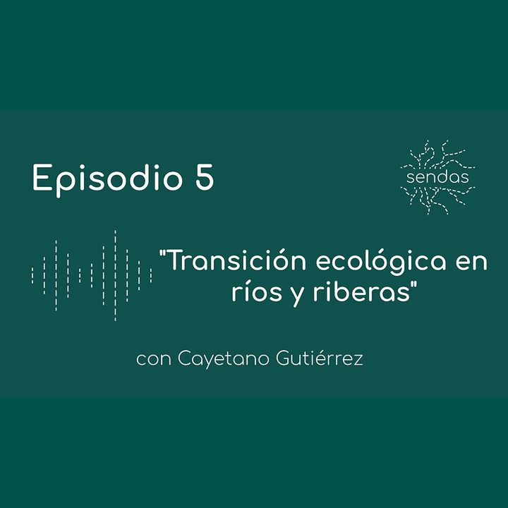 Transición ecológica en ríos y riberas #05