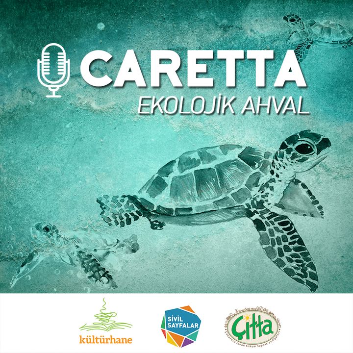 Caretta Ekolojik Ahval