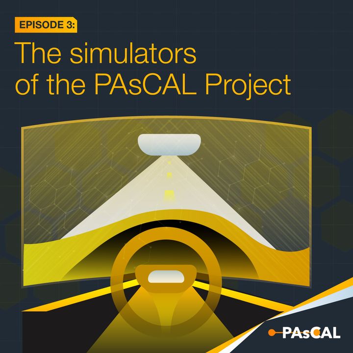 The simulators of the PAsCAL Project