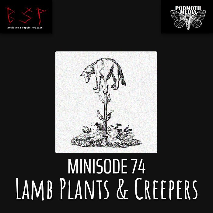 Lamb Plants and Creepers