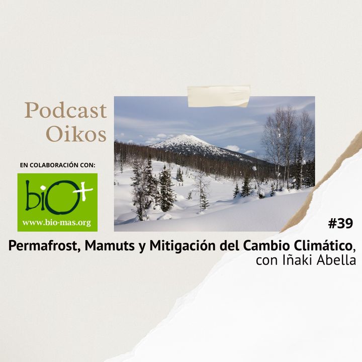 Permafrost, Mamuts y Mitigación del Cambio Climático, con Iñaki Abella | Oikos #39