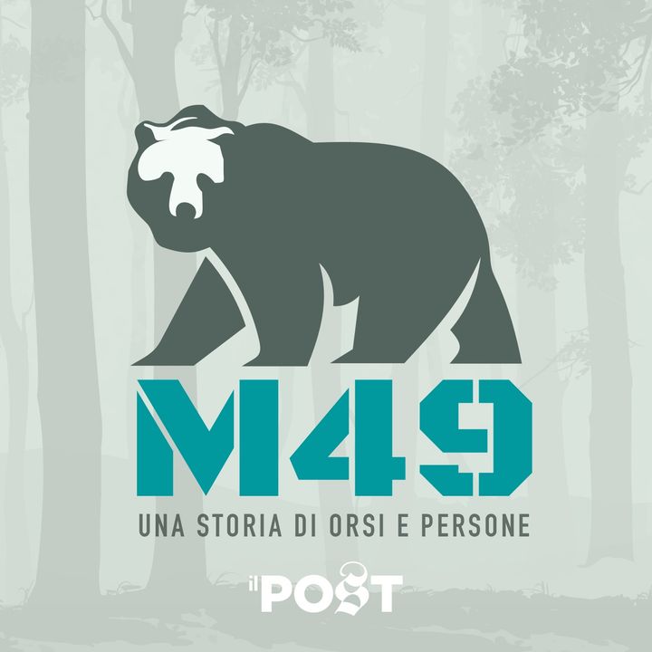 M49 - Una storia di orsi e persone - Teaser